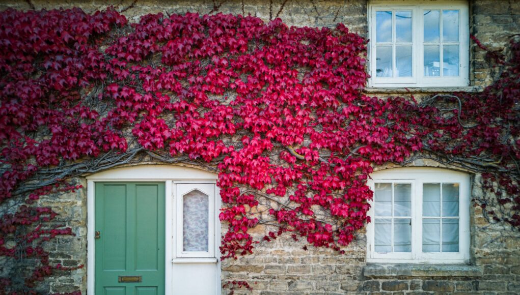 House Prices: Property Market Shows Slight Rebound In May, Says Nationwide