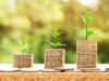 Rental yields hit 10-year high as landlords brace for market shifts