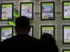 Mortgage borrowing at near two-year high as interest rate falls boost confidence