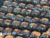 Sheffield councillors call for end of Right to Buy scheme