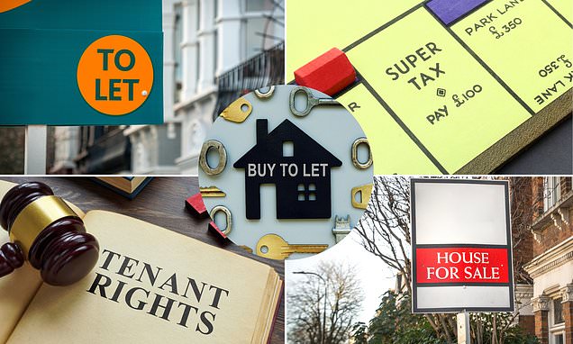 Increasing numbers of renters and fewer landlords, says Rics report