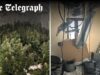 Landlord faces £10,000 bill after tenants turn rental into cannabis farm