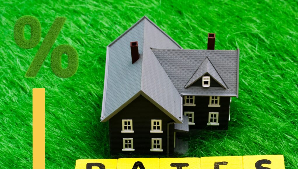 Buy to let mortgage rates cut by Landbay, UTB and Molo
