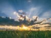 Landlords in the south most positive about prospects