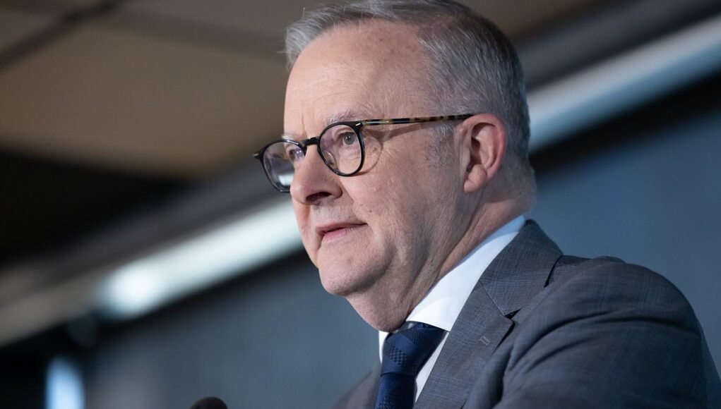 How Anthony Albanese's first-home buyer scheme has backfired