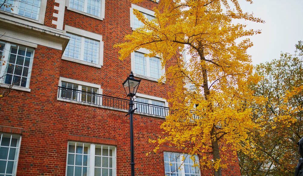 Buy-to-Let reinvented - landlords adapt to changing market